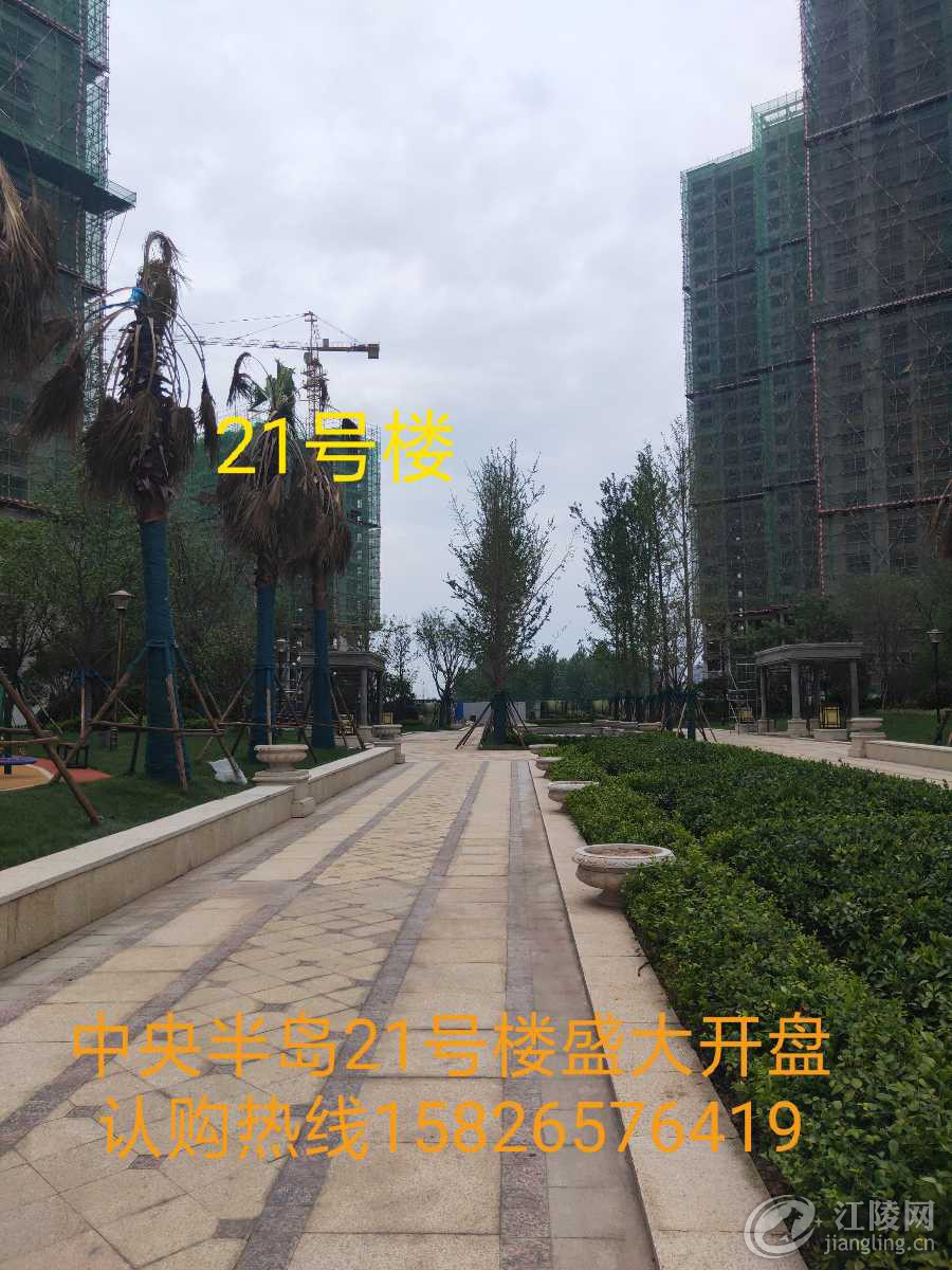 IMG_20190609_132129.jpg