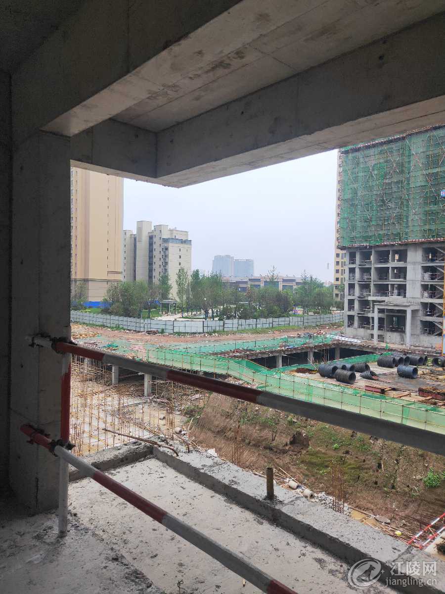 IMG20190608105442.jpg