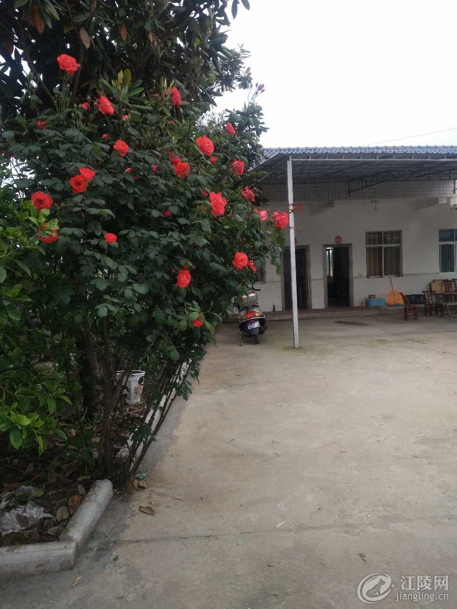 IMG_20190430_164527.jpg