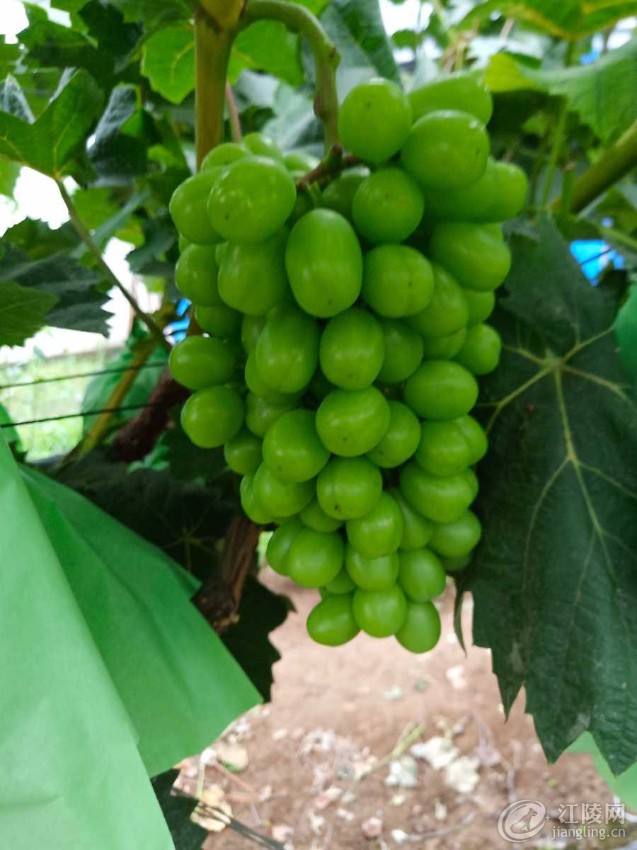 IMG_20190621_164819.jpg