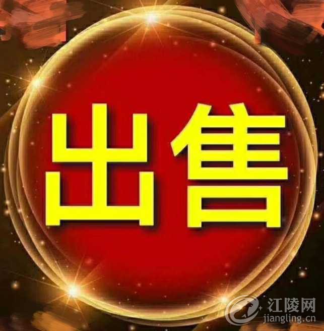 IMG_20190626_105349.jpg