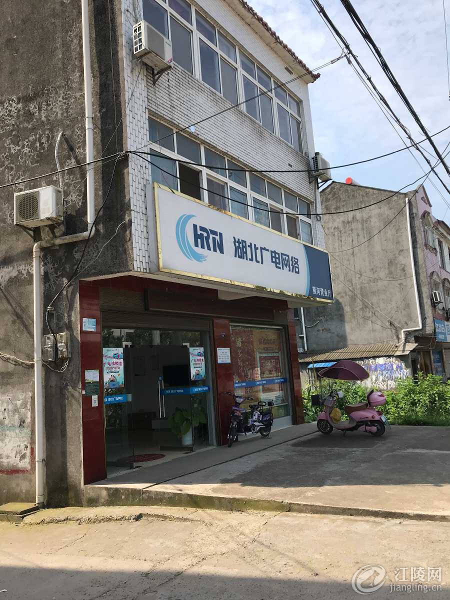 image.jpg