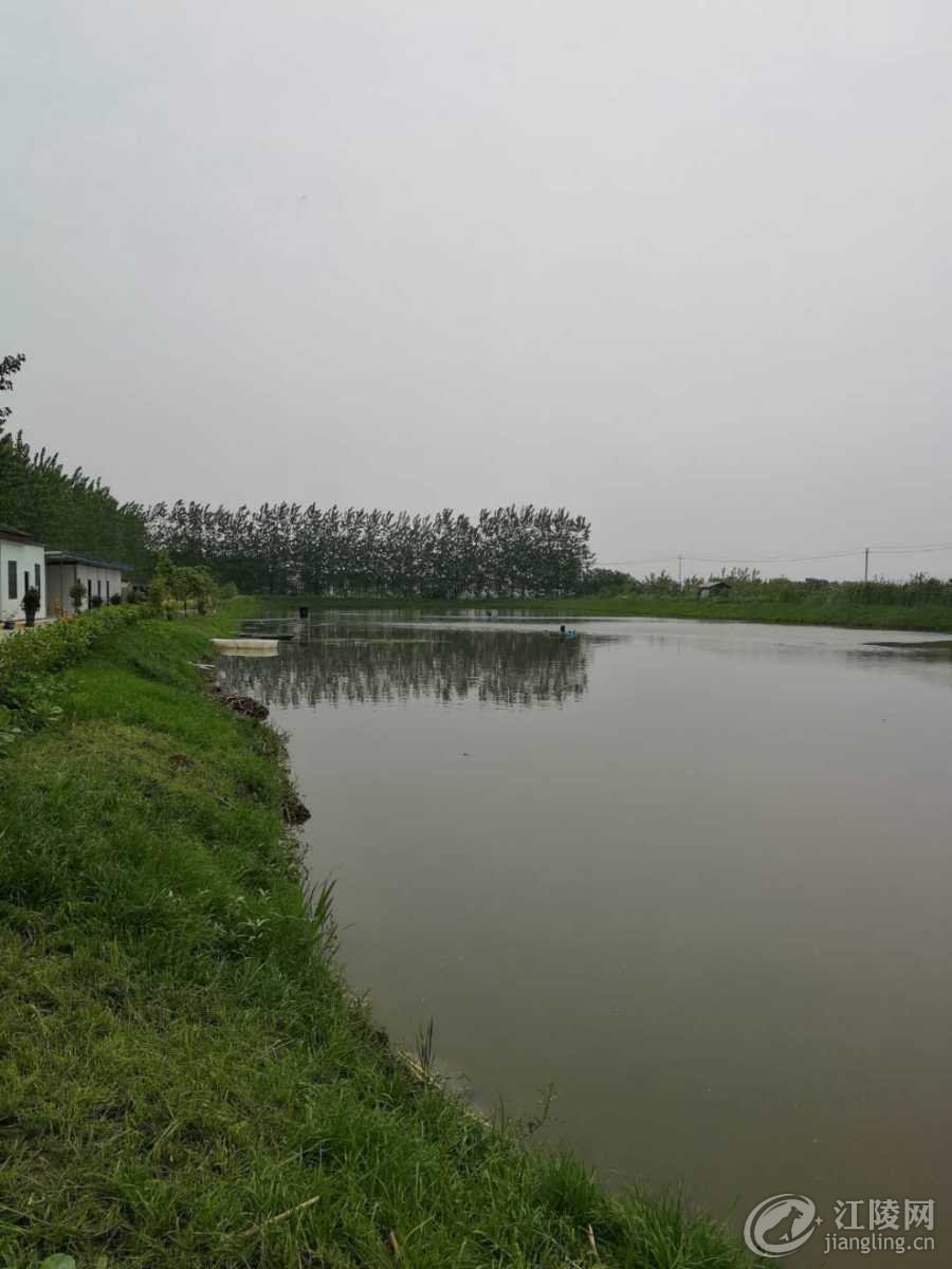 mmexport1562744847427.jpg