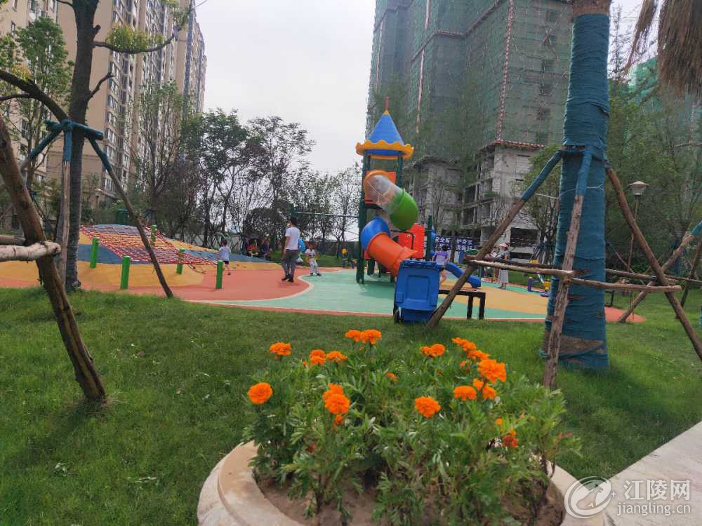IMG20190706163246.jpg