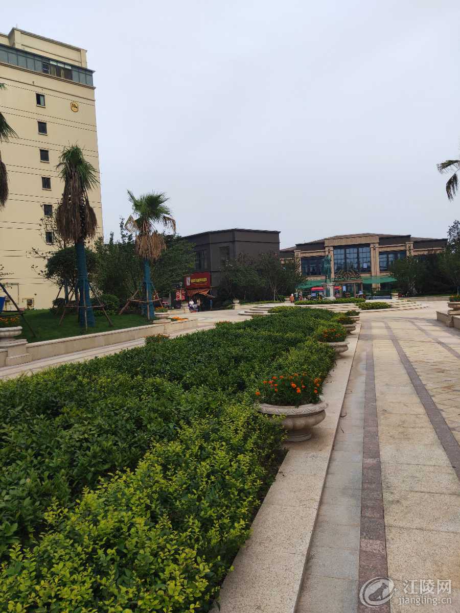 IMG20190706163220.jpg