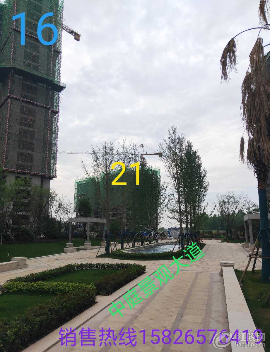 IMG_20190713_141704.jpg