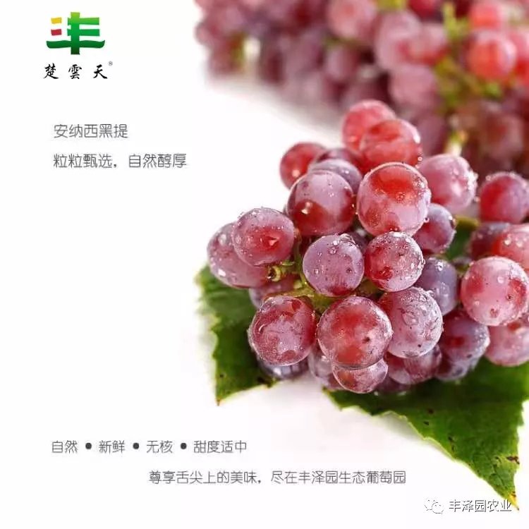 640.webp (24).jpg