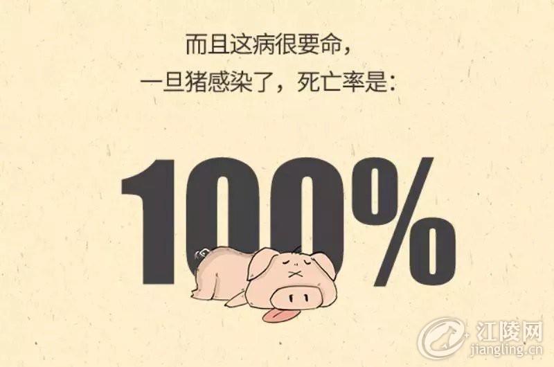 640.webp (45).jpg