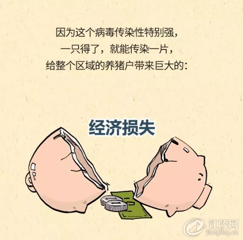 640.webp (32).jpg