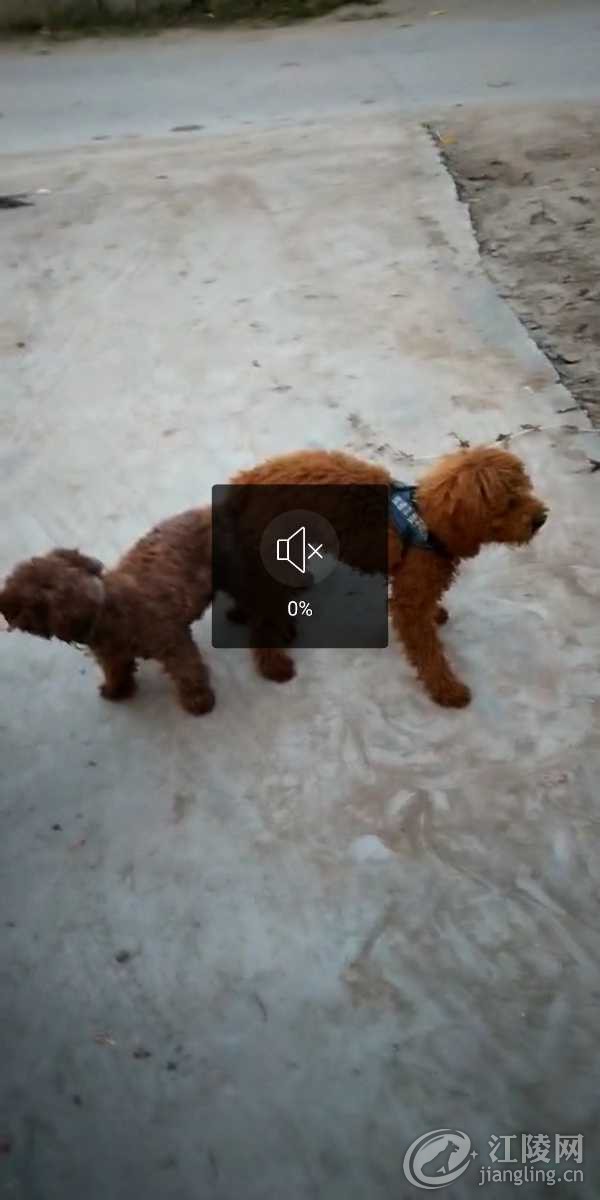 Screenshot_2019-07-17-05-50-49-50.png