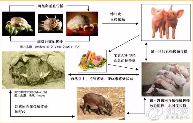 640.webp (23).jpg