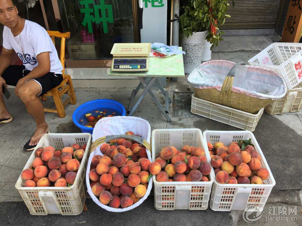 F838FE8F-04DA-4D8C-BB2E-52F5BAA8055D.jpeg