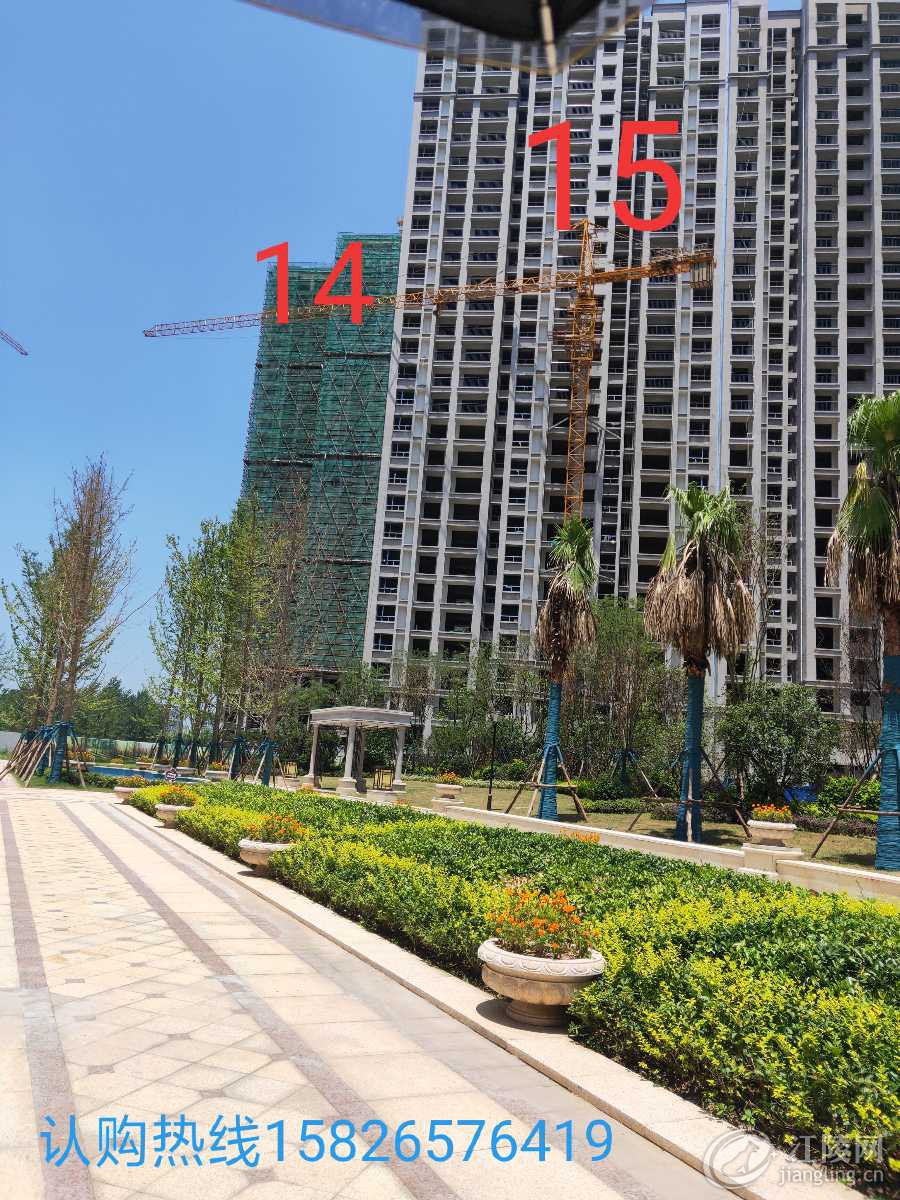 IMG_20190805_163828.jpg