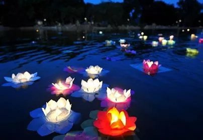 640.webp (5).jpg