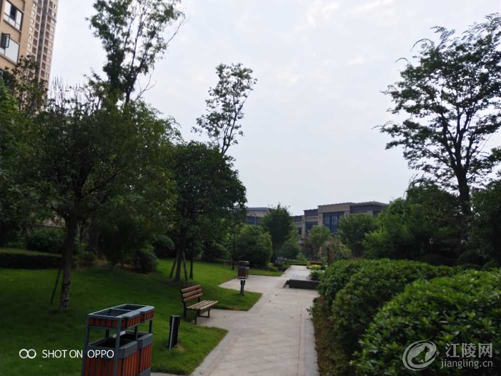 IMG20190826095940.jpg