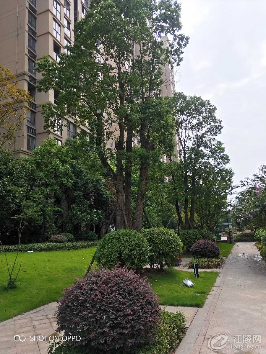 IMG20190826095736.jpg