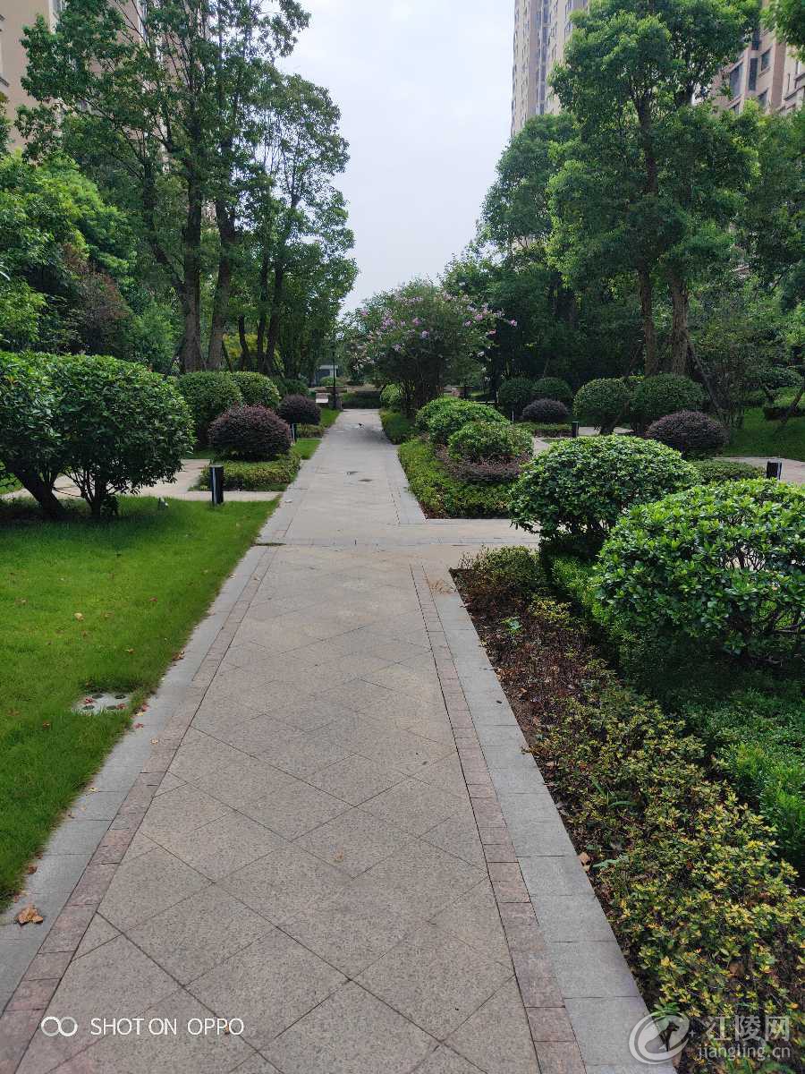 IMG20190826095659.jpg