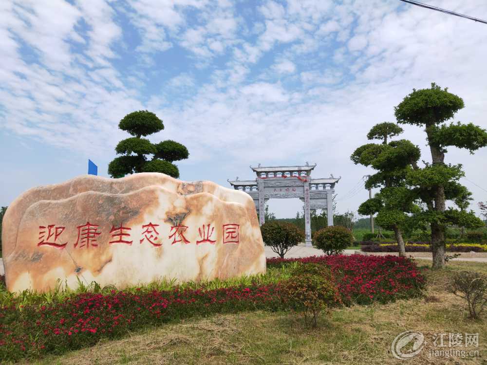 IMG20190508143105.jpg