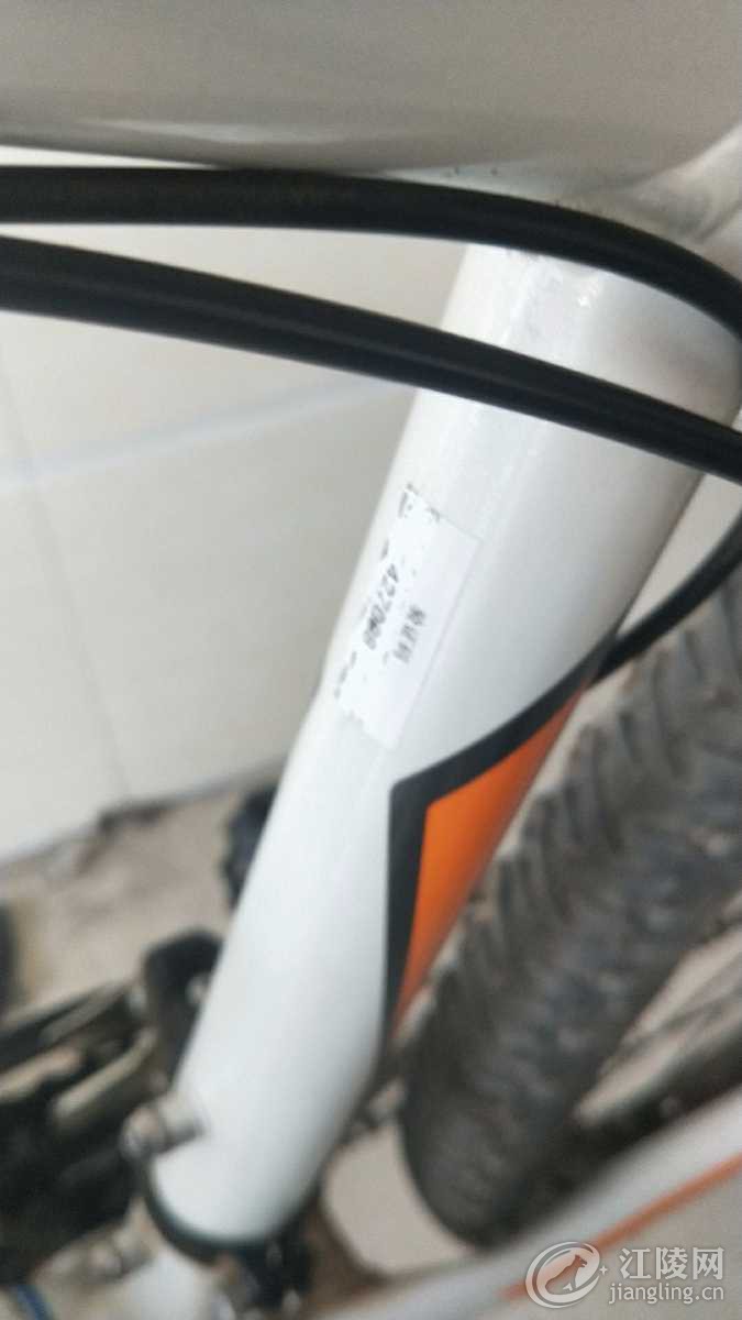 wx_camera_1566726693494.jpg