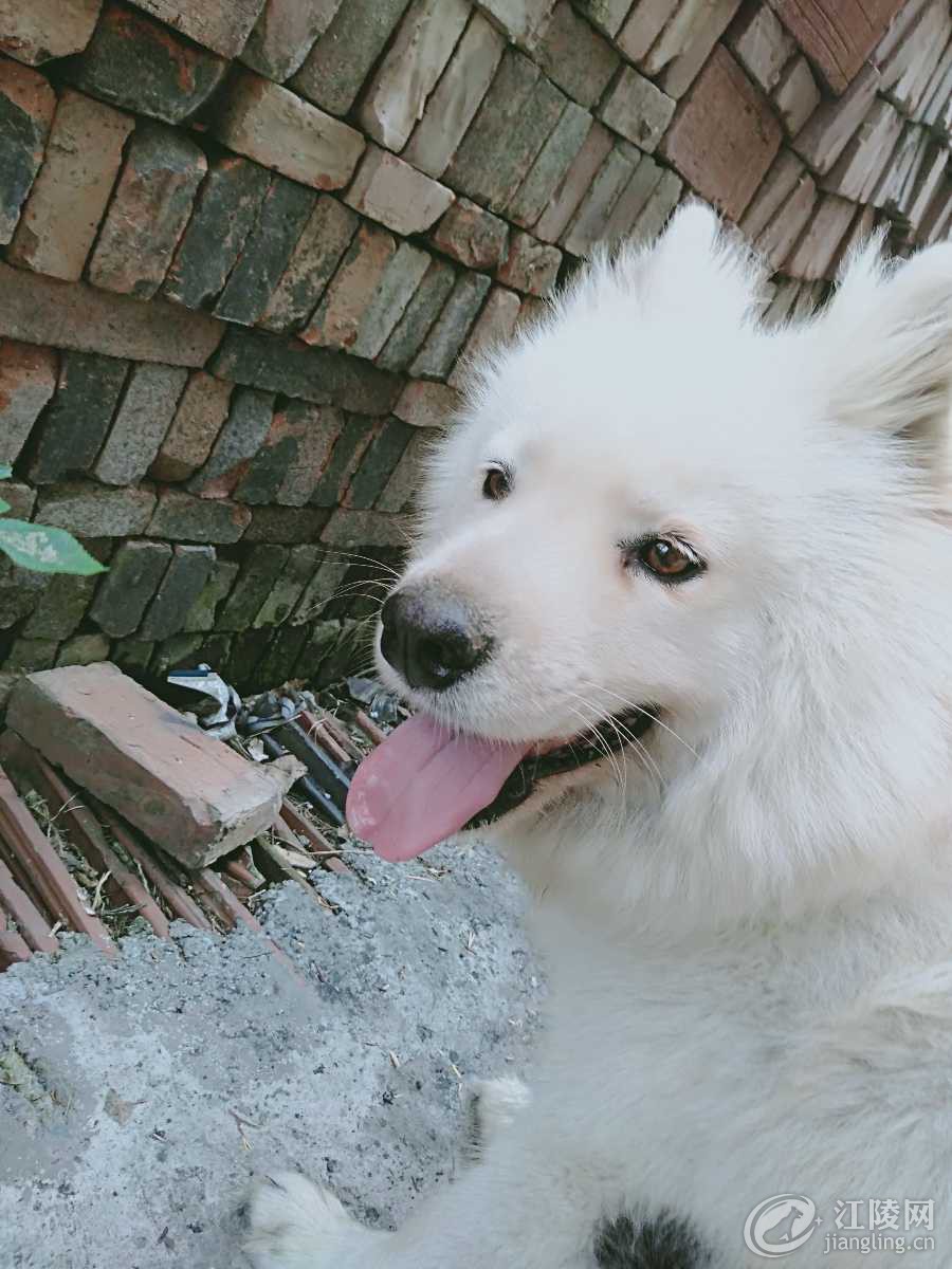 IMG20190903142116.jpg