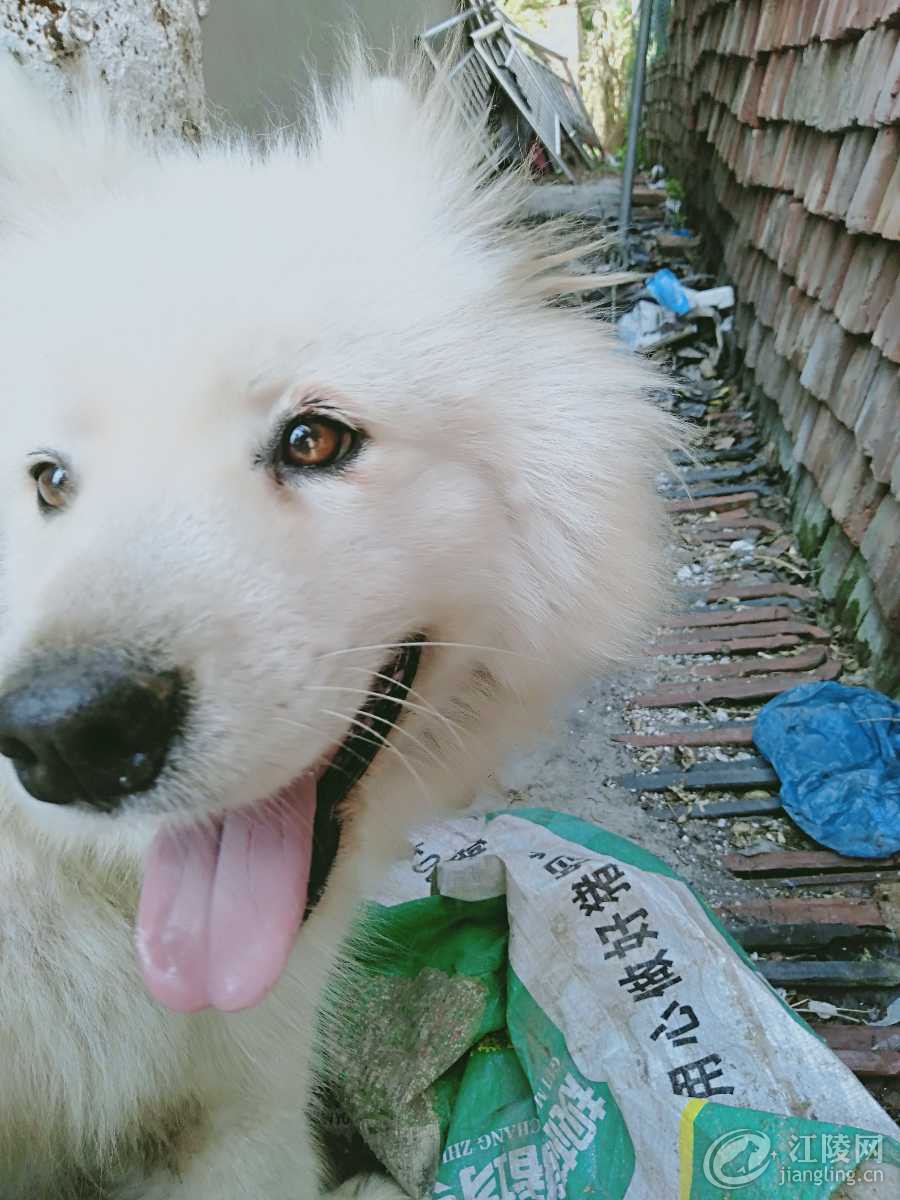 IMG20190903141936.jpg