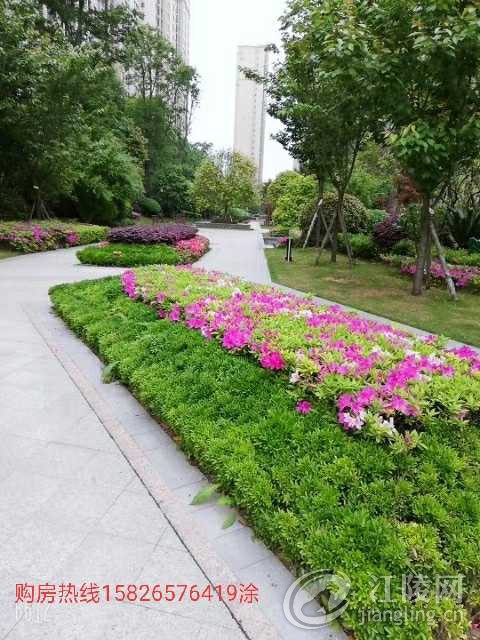 IMG_20190904_074649.jpg