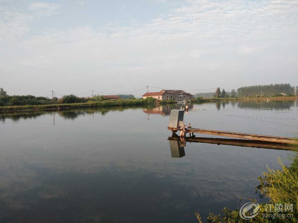 IMG20190909071426.jpg