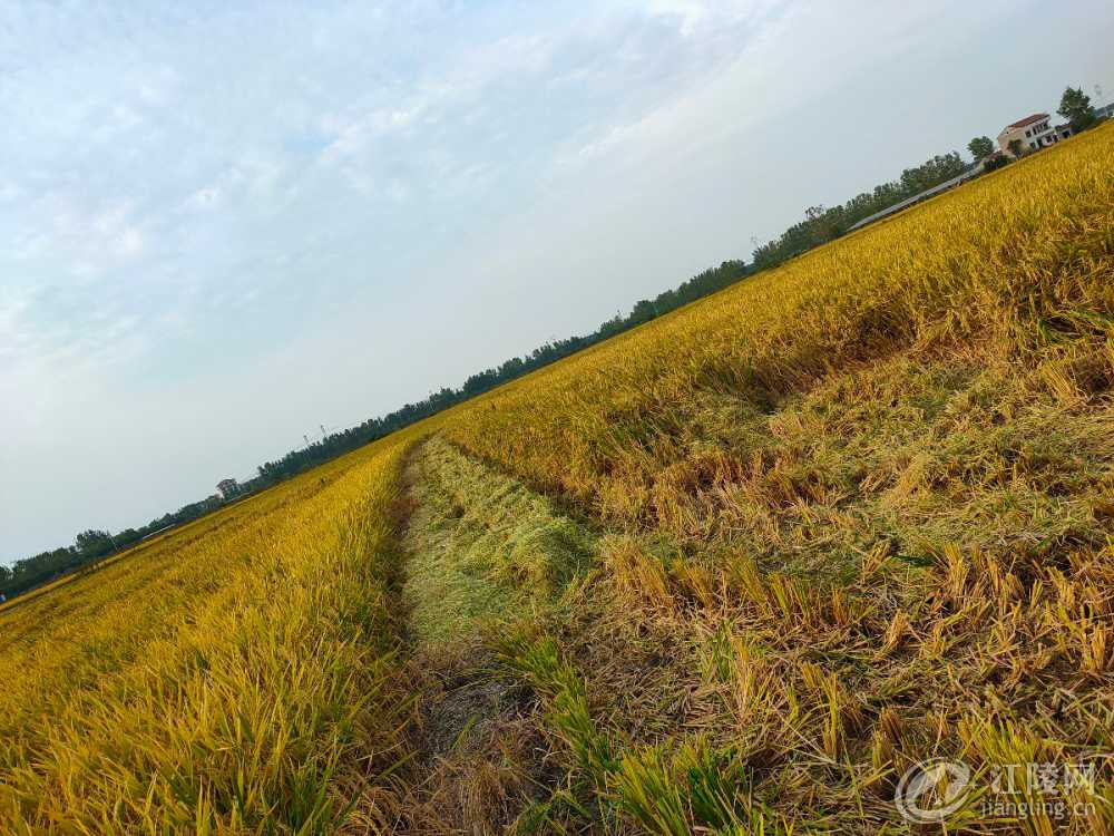 IMG20190924170315.jpg