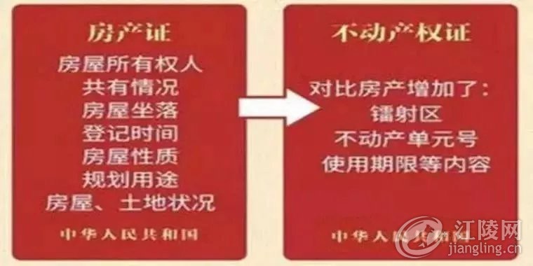 640.webp (6).jpg