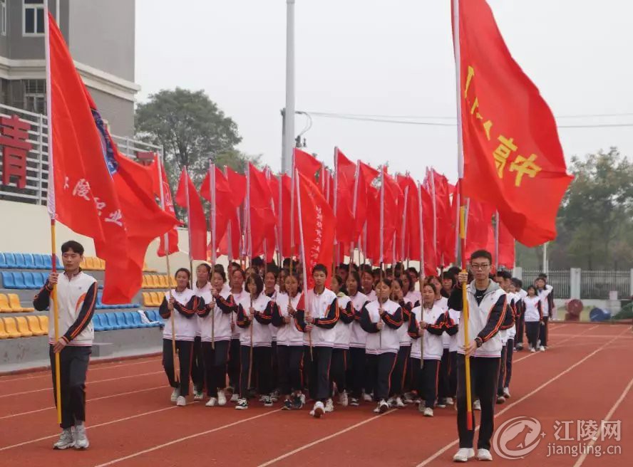 640.webp (29).jpg