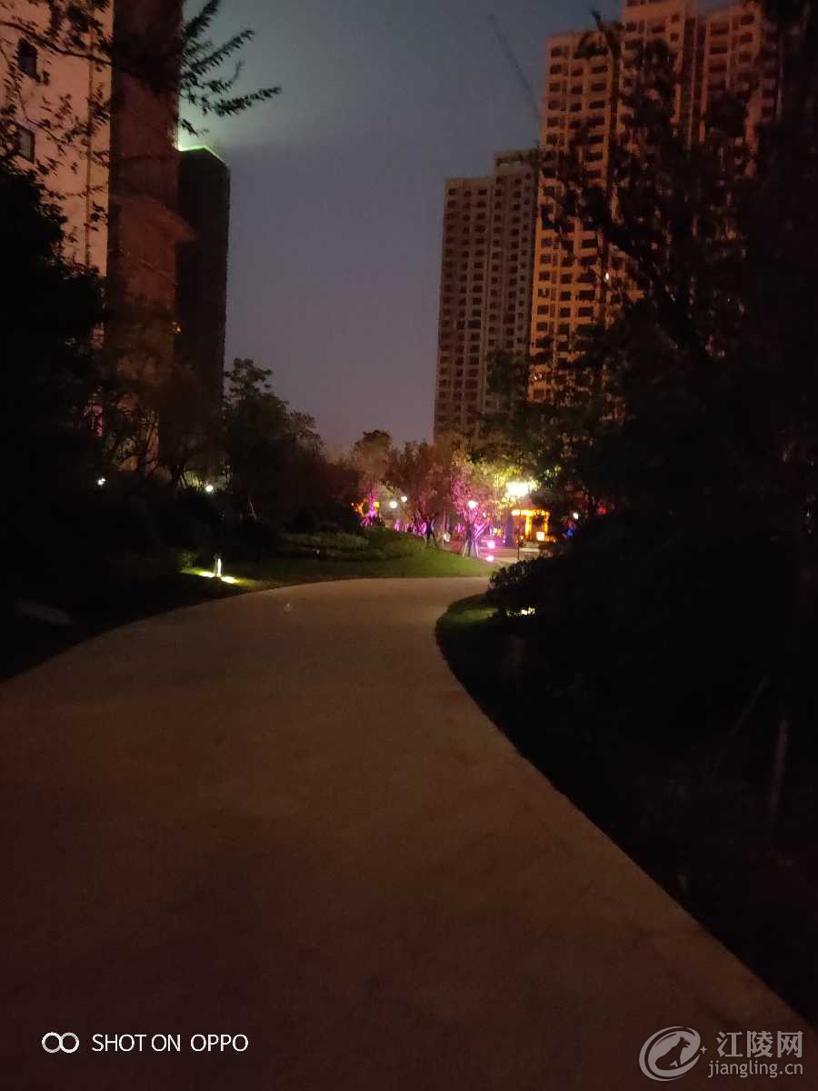 IMG20191104181341.jpg