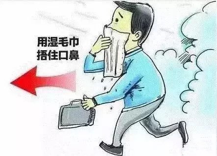1be18ee0116d45508f3deb06f6509cb3_����.jpg