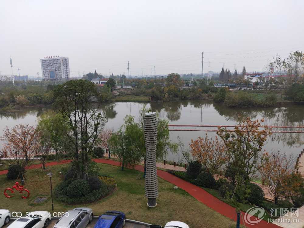 IMG20191129123134.jpg