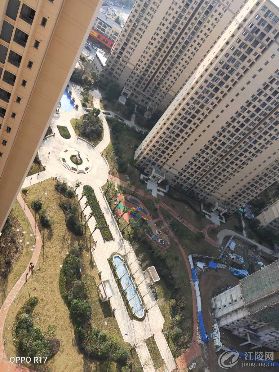 IMG20191226112119.jpg