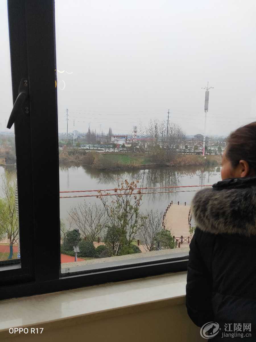 IMG20200101105157.jpg