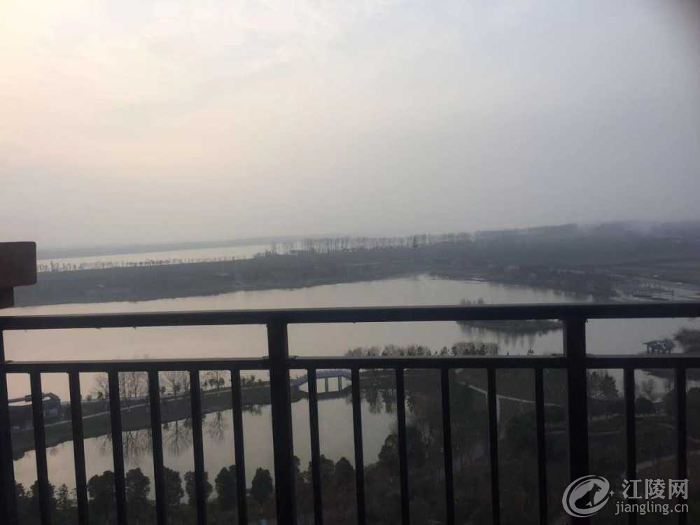 DE1F4C10-6E49-41EB-BA8C-538C9EA32F62.jpeg
