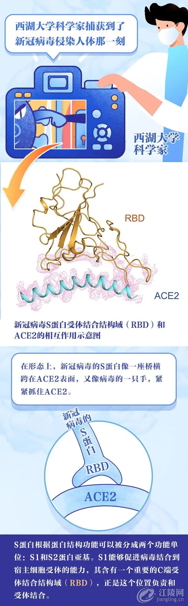 640.webp (9).jpg