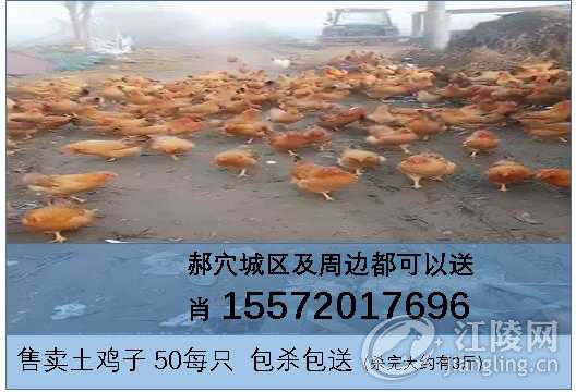 451235C3-6F07-4FEF-931D-A91CBF499909.jpeg