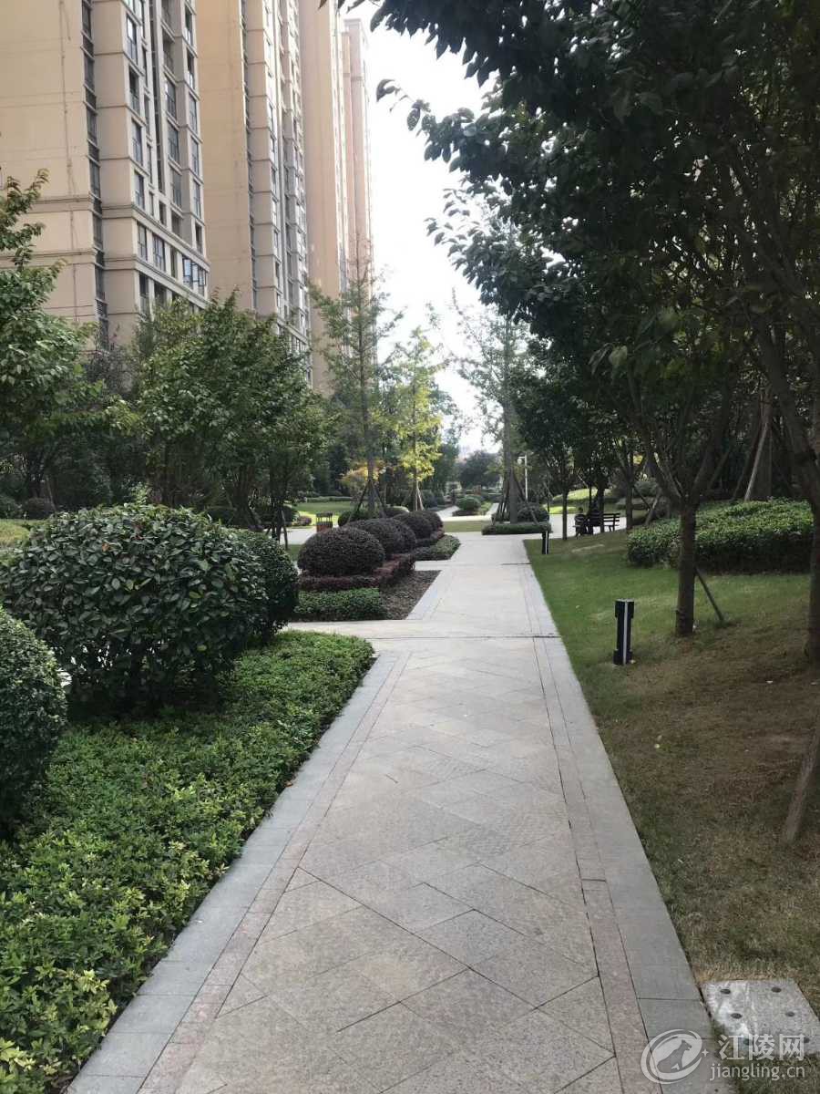 mmexport1571997871047.jpg