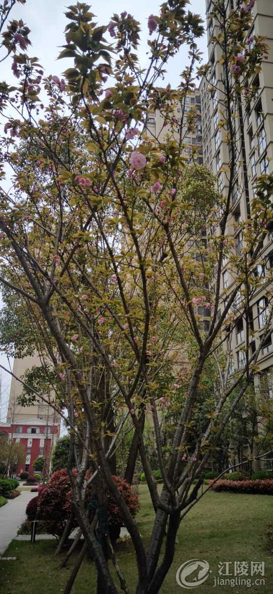 wx_camera_1584837196667.jpg