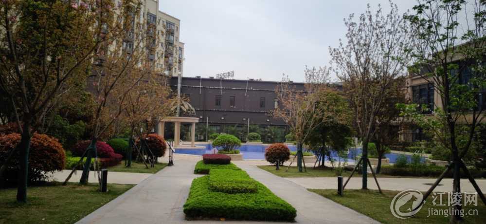 wx_camera_1584837297295.jpg