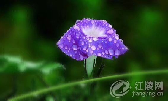 ΢��ͼƬ_20200330142709.jpg