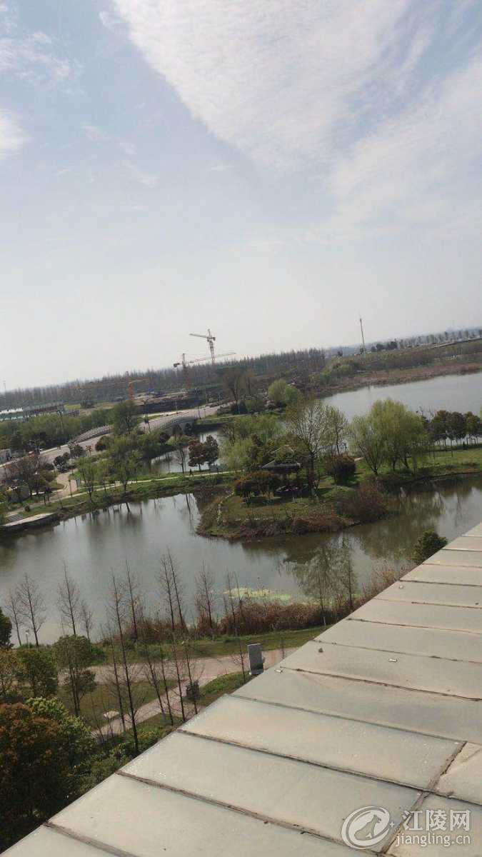 91D38CEE-071F-444D-BE28-7CFC9653BD0B.jpeg