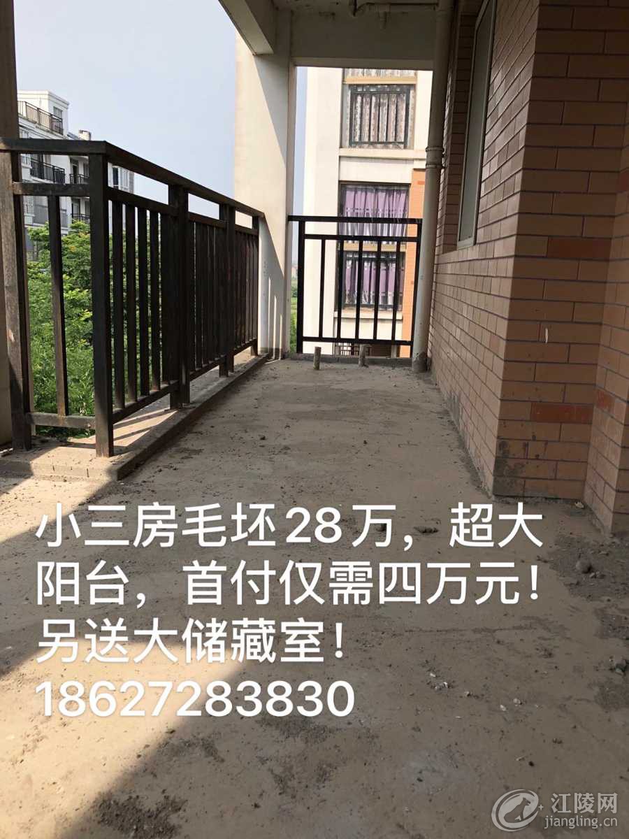 2A7BEECE-2AAB-4E95-967A-BD921BCEE006.jpeg