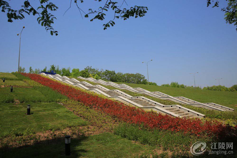 3G7A9938.jpg