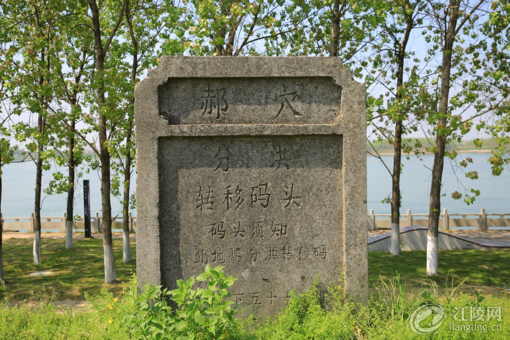 3G7A9868.jpg
