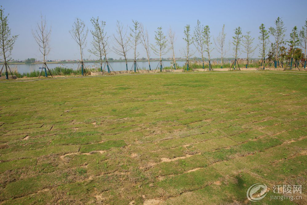 3G7A9849.jpg