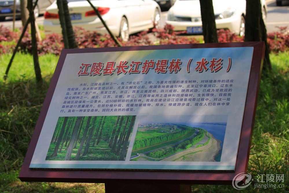 3G7A9929.jpg