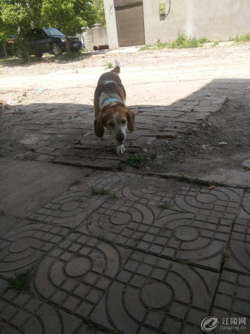 ΢��ͼƬ_20200429135526.jpg
