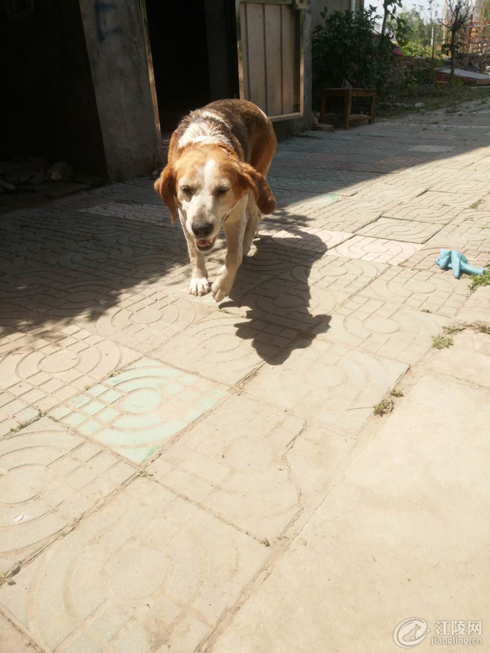 ΢��ͼƬ_20200429135535.jpg